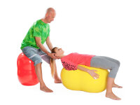 Gymnic Physio Roll