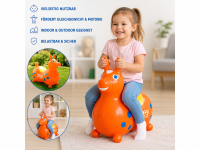 Gymnic Rody Max
