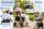 LEXAmed ALADDIN-H Leichtgewicht Rollator Champagner – Sitzhöhe 60 cm