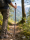 Wanderstock Naturwurzel mit Rinde
