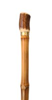 Flanierstock Bambus Horn